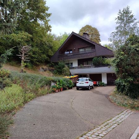 Appartamento Feldbergsicht Lenzkirch Esterno foto