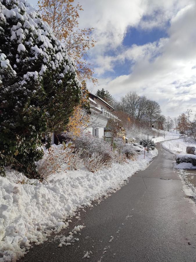 Appartamento Feldbergsicht Lenzkirch Esterno foto
